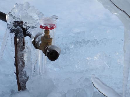 Freeze Protection for Landscape and Irrigation image