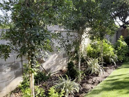 Blog post Going Green: The Benefits of Artificial Turf image