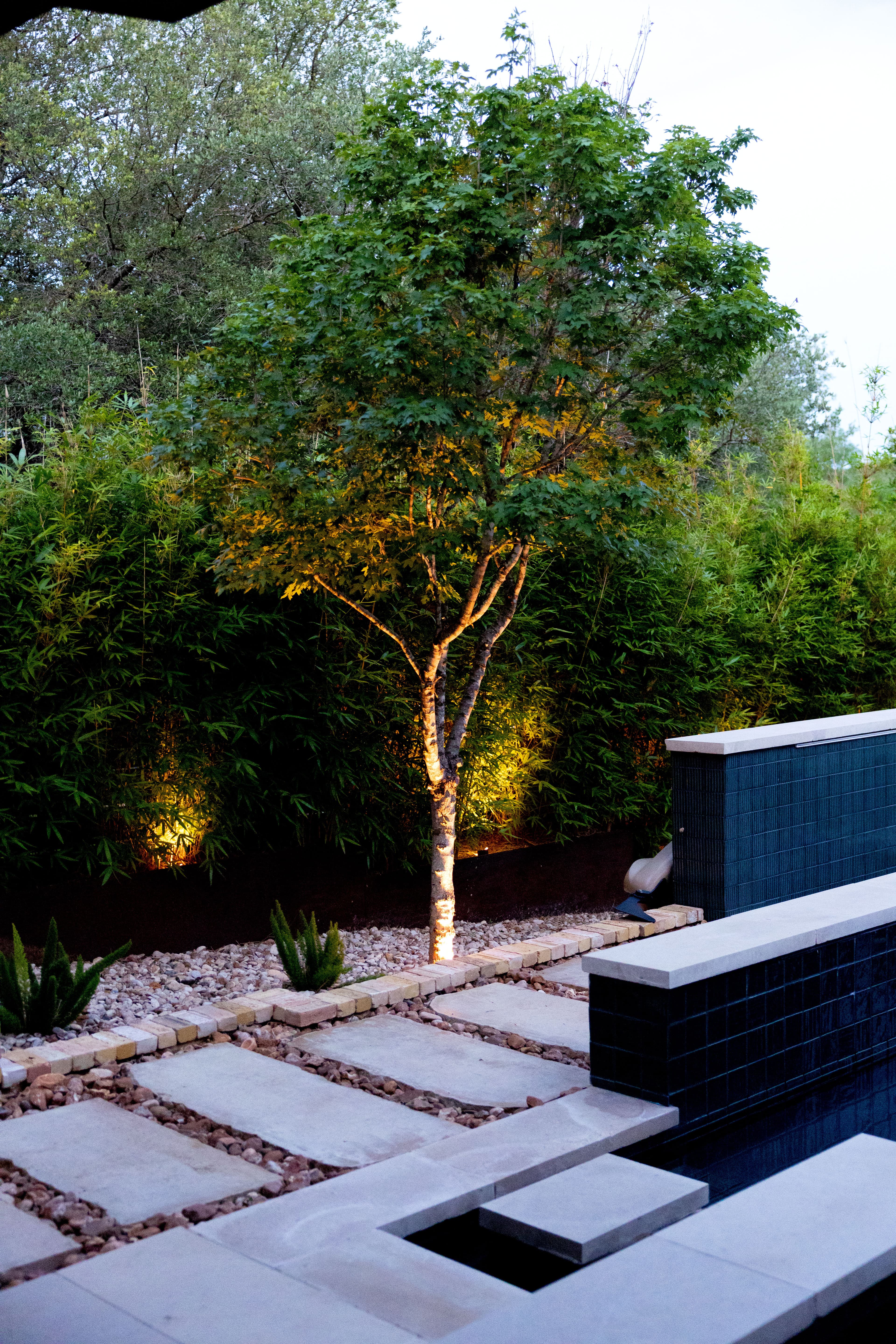 Project Backyard Pool Landscape Design with Lighting and Privacy Plantings image