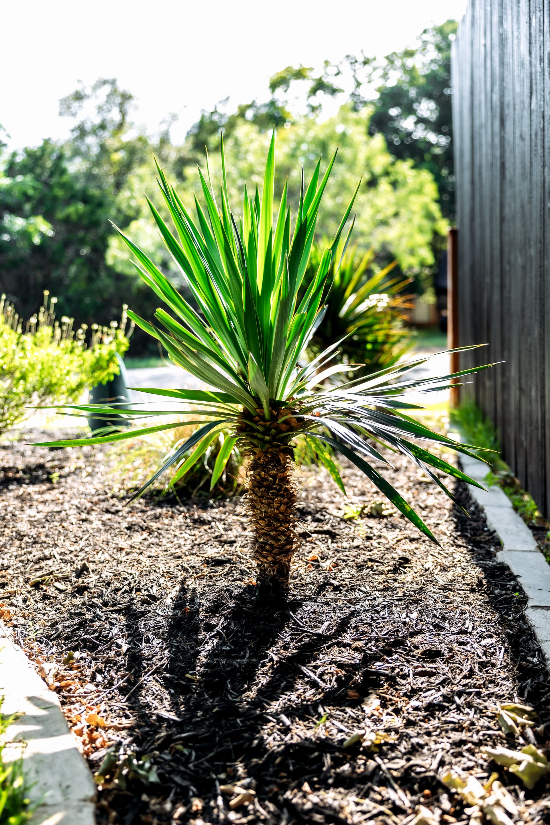 Gallery photos for Front Yard Curb Appeal Done Right with Limestone and Fresh Plantings: Image #3