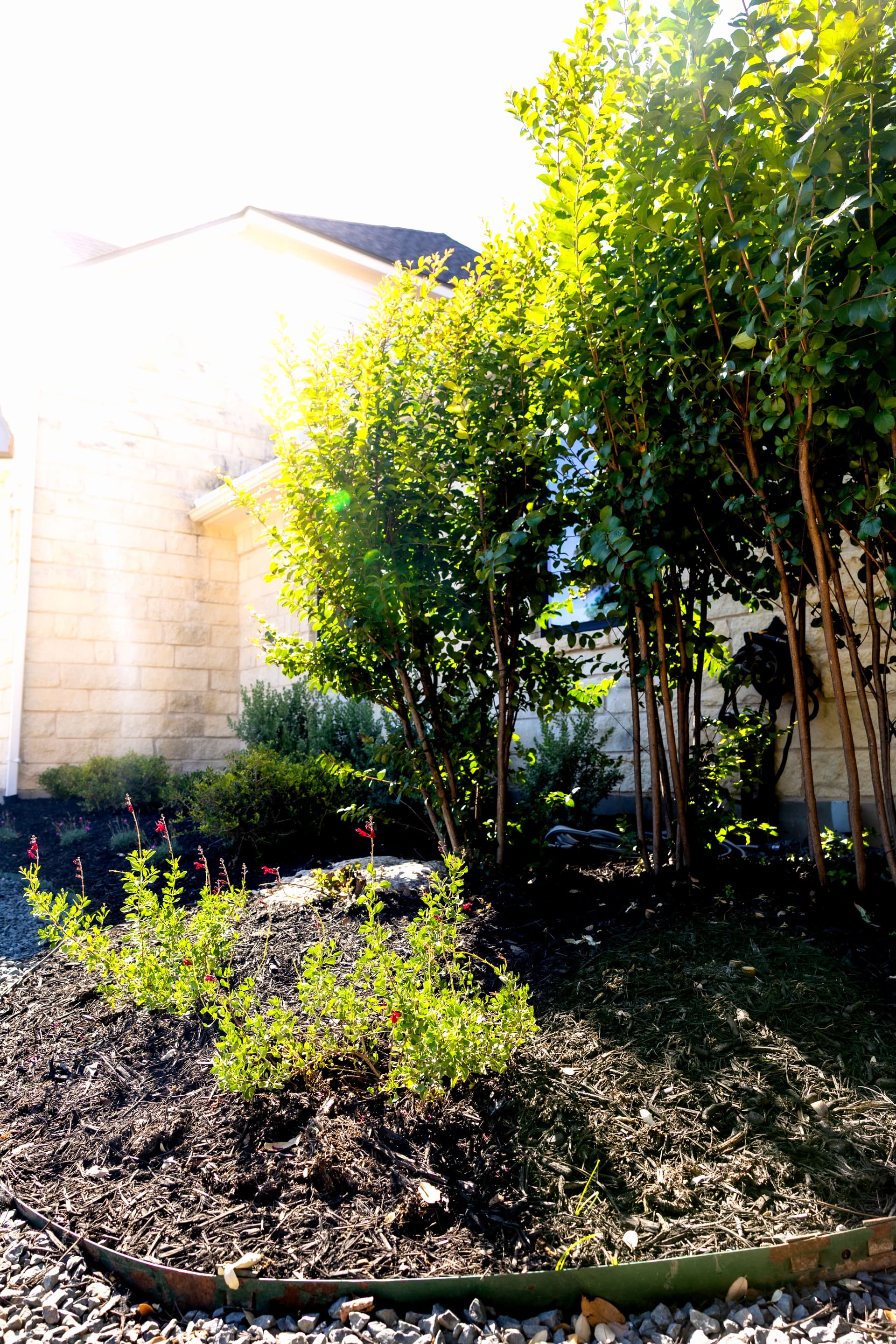 Gallery photos for Front Yard Curb Appeal Done Right with Limestone and Fresh Plantings: Image #2