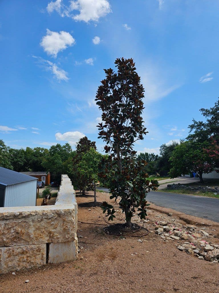 Transform Your Landscape with Champion Outdoor Solutions